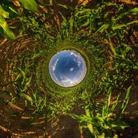 blauw gat gebied weinig planeet binnen groen gras ronde kader achtergrond foto