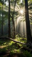 ai gegenereerd zonlicht schijnend door bomen in een Woud foto