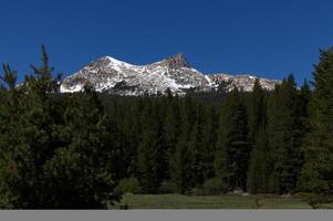 sneeuw Aan bergen en groen gras weide yosemite nationaal park foto