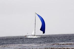 Monterey, ca, 2012 - zeilboot rennen voordat wind onder blauw spinnaker foto