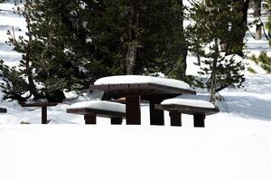 picknick tafel en banken gedekt in sneeuw foto