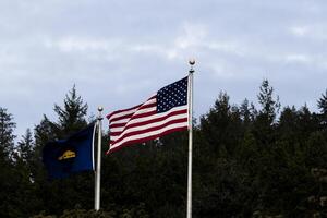 ons en terug kant van Oregon staat vlag tegen bomen foto