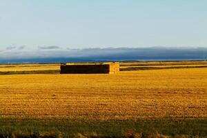 bos, ca, 2010 - groot stack van hooi balen uit in veld- met blauw lucht foto