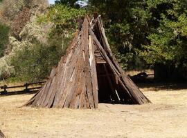 punt reyes, ca, 2008 - miwok sequoia schors hut exposeren nationaal kust foto