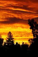 wolken helder met zonsondergang licht achter aftekenen bomen foto