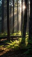 ai gegenereerd zonlicht schijnend door bomen in een Woud foto