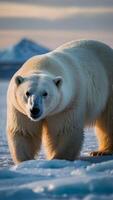 ai gegenereerd arctisch wonderland polair bears roamen met ijs bedekt landschappen foto