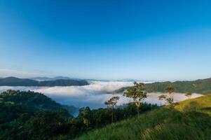 visie van Woud en bergen met mist in ochtend- Bij huai kub Kab, Chiang mei, Thailand foto