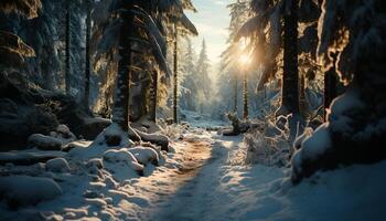 ai gegenereerd winter schoonheid sneeuw gedekt bomen, rustig tafereel, zonlicht door takken gegenereerd door ai foto