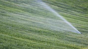 automatisch water sproeier rennen over- groen gazon foto