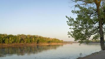 kalmte voorjaar zonsopkomst over- Missouri rivier- Bij dalton bodems foto