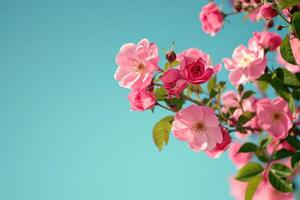 ai gegenereerd mooi voorjaar grens, bloeiend roos struik Aan een blauw achtergrond. bloeiend roos heupen tegen de blauw lucht. generatief ai foto