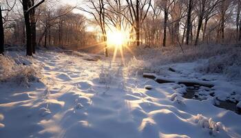 ai gegenereerd winter Woud sneeuw gedekt bomen, rustig tafereel, zonlicht door vorst gegenereerd door ai foto