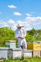 imker in bescherming pak werken met bijen. knap imker werken met houten bijenkorven. foto