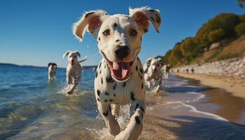 ai gegenereerd schattig puppy rennen Aan nat zand, spelen in de water gegenereerd door ai foto