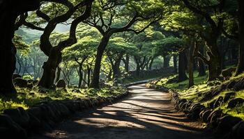 ai gegenereerd wandelen door de Woud, de herfst bladeren creëren een mysterieus schoonheid gegenereerd door ai foto