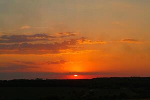 zon reeks over- de horizon Aan de achtergrond van een veld- en Woud in de avond in de zomer. zonsondergang foto