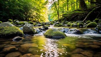 ai gegenereerd rustig tafereel van groen Woud met vloeiende water gegenereerd door ai foto