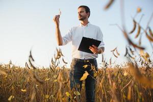 boer agronoom in soja veld- controle gewassen voordat oogst. biologisch voedsel productie en teelt. foto