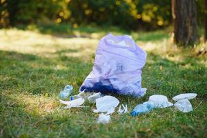 vuilnis stapel Aan de platteland park Woud rand Aan groen bomen achtergrond Aan een zonnig voorjaar dag, plastic rommel de dieren in het wild met vakantiegangers mensen in Europa foto