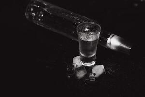 verkoudheid wodka in schot bril Aan een zwart achtergrond. top visie. voedsel achtergrond. foto