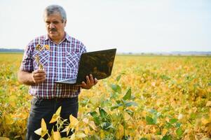 portret van senior hardwerkend boer agronoom staand in soja veld- controle gewassen voordat oogst. biologisch voedsel productie en teelt. foto