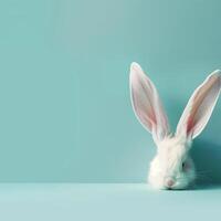 ai gegenereerd wit konijn oor Aan pastel blauw achtergrond foto