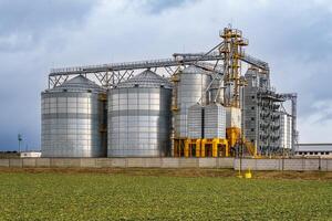 silo's Aan agro-industrieel complex met zaad schoonmaak en drogen lijn voor graan opslagruimte foto