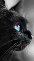 ai gegenereerd raadselachtig elegantie. een zwart kat met doordringend paarsblauw ogen, verlichte in een zwart en wit atmosfeer, uitstralend mysterie en elegantie. foto
