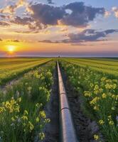 ai gegenereerd water pijp in een bloem veld- foto