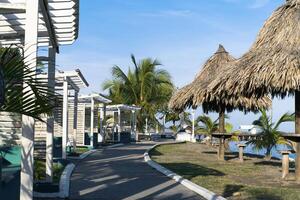 la ceiba, atlantida park. reizen concept. foto