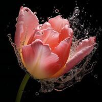 ai gegenereerd een roze tulp is spatten water in de lucht foto