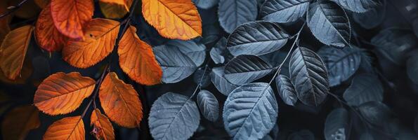 ai gegenereerd dubbel tint harmonie, contrasterend blad kleuren in natuur palet foto