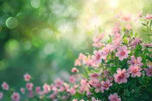 ai gegenereerd weelderig bloemen scènes presentatie van een verscheidenheid van bloesems in zacht, stralend licht met een bokeh achtergrond foto