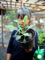 tuinman en zijn boerenkool groente in pot controle en gelukkig met planten foto