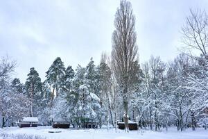 camping Cursus in een winter recreatie park gedekt met sneeuw foto