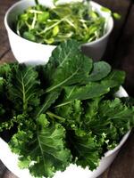 kleurrijk groente salade Aan hout tafel boerenkool en zonnebloem spruit foto