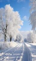 ai gegenereerd winter landelijk landschap met weg en bomen gedekt met rijp. foto