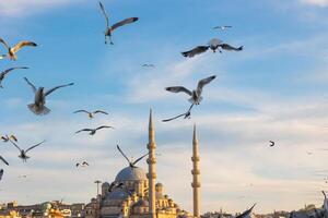 Istanbul visie met meeuwen en moskee. reizen naar Istanbul achtergrond foto