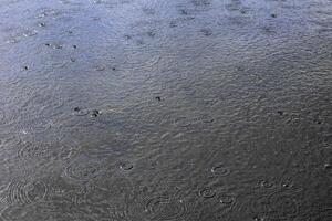 regendruppels met cirkels Aan de meer oppervlakte foto