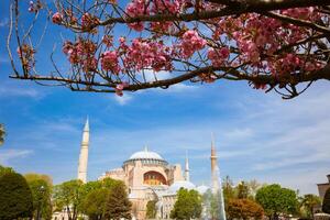 hagia sophia of ayasofya moskee met voorjaar bloesem bomen. foto