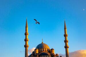 Eminonu jeni cami of nieuw moskee Bij zonsondergang met een zeemeeuw foto