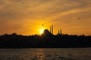 silhouet van suleymaniye moskee met meeuwen Bij zonsondergang foto