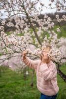 lief weinig meisje heeft een pret in een bloeiend roze en wit tuin petrin in Praag, voorjaar tijd in Europa. hoog kwaliteit foto