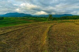 mooi ochtend- visie van Indonesië van bergen en tropisch Woud foto