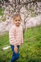 lief weinig meisje in een bloeiend roze en wit tuin petrin in Praag, voorjaar tijd in Europa. hoog kwaliteit foto