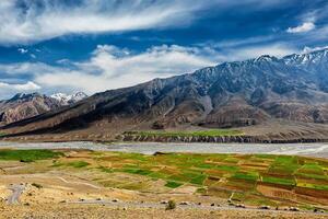 spiti vallei en rivier- in Himalaya foto