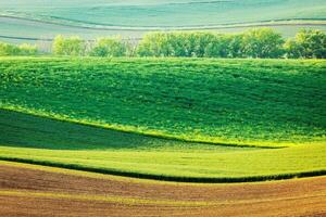 Moravisch rollend landschap foto