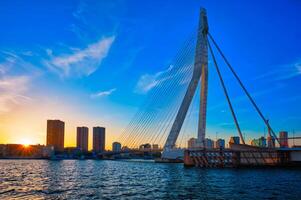 erasmus brug Aan zonsondergang, Rotterdam, Nederland foto