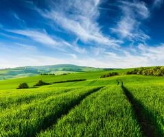 rollend zomer landschap foto